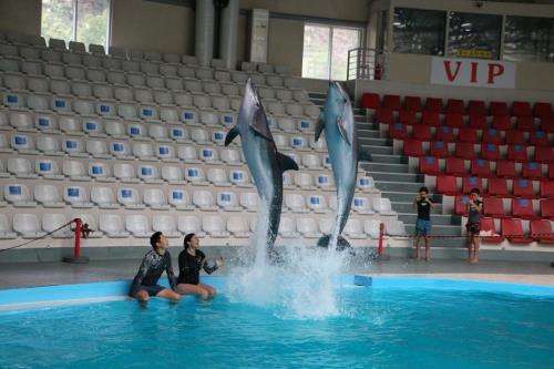 İstanbul Dolphinarium